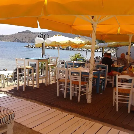 Thelxis Volos