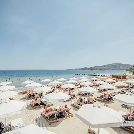 Thelxis Volos